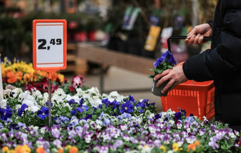 Wetter verdirbt Garten-Lust – schwieriges Jahr für Baumärkte