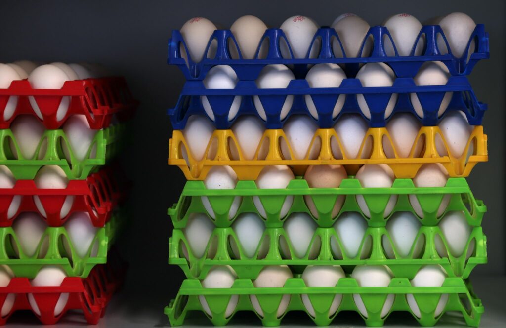 Eier-Verbrauch in Deutschland deutlich gestiegen
