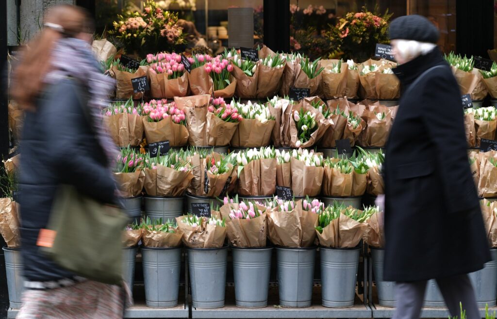 Schlechte Tulpen-Ernte treibt die Preise