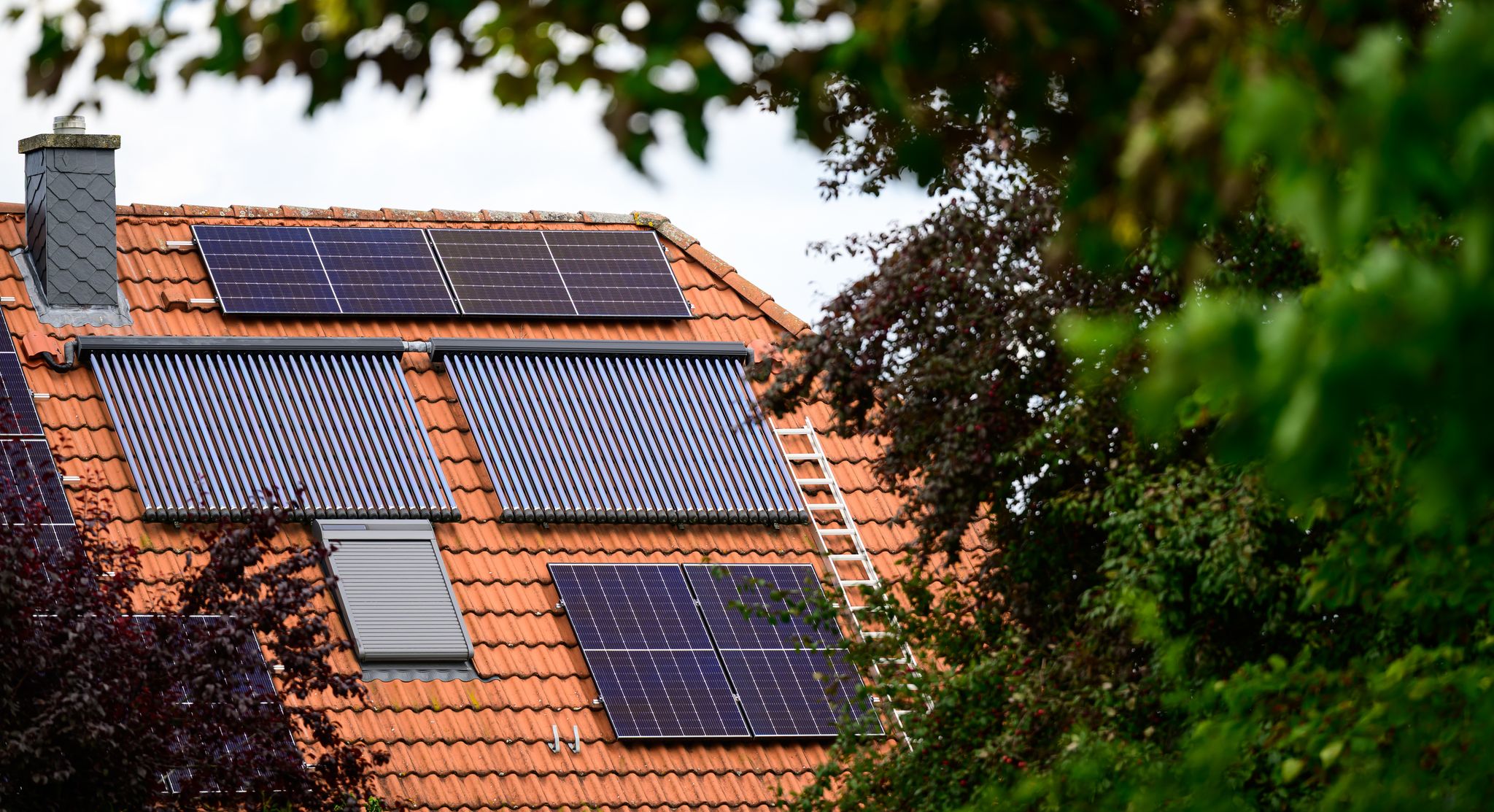 Kritik an Plänen Reiches für neue kleine Solaranlagen